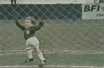[Young Hackel]